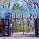 The Bronx Zoo