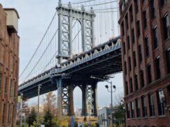 Manhattan Bridge View